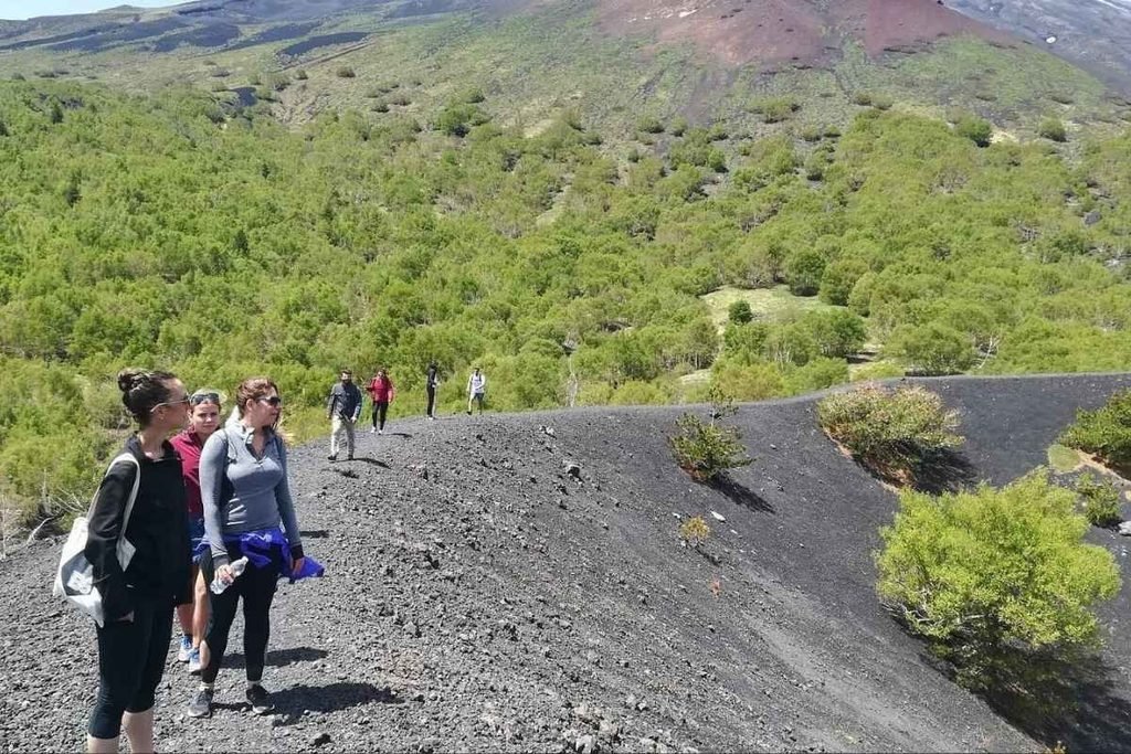 Guided hikes: choose the route, not just the headline